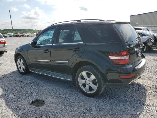 2010 Mercedes-Benz ML 350