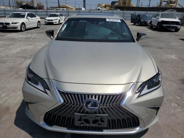 2019 Lexus ES 300H