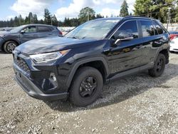 Toyota rav4 xle Vehiculos salvage en venta: 2020 Toyota Rav4 XLE