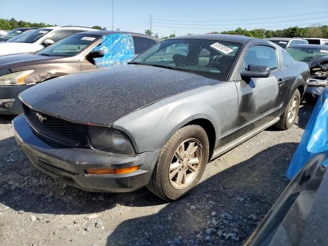 2008 Ford Mustang