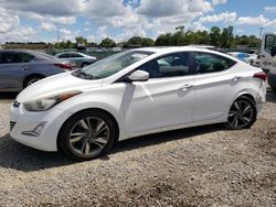 Hyundai Elantra salvage cars for sale: 2014 Hyundai Elantra SE