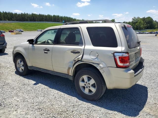 2010 Ford Escape XLT