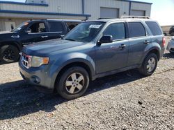 Ford Escape salvage cars for sale: 2010 Ford Escape XLT