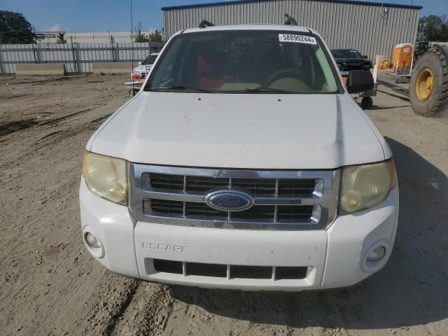 2008 Ford Escape XLT