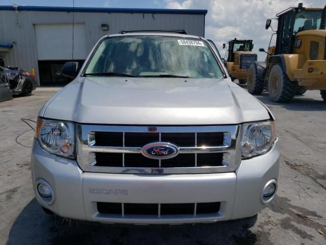 2008 Ford Escape XLT