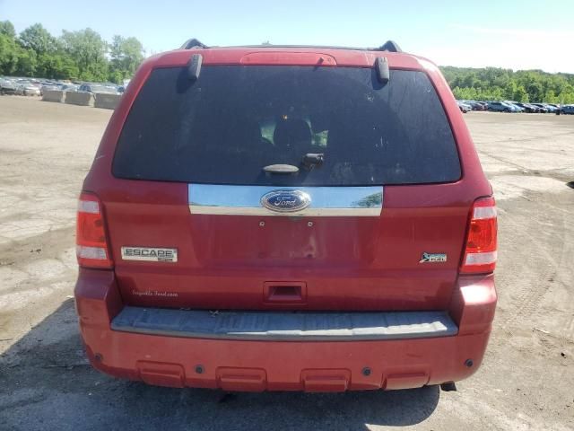 2011 Ford Escape Limited