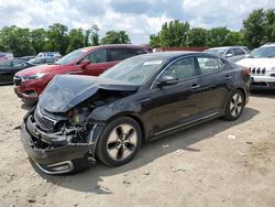 KIA Optima salvage cars for sale: 2012 KIA Optima Hybrid