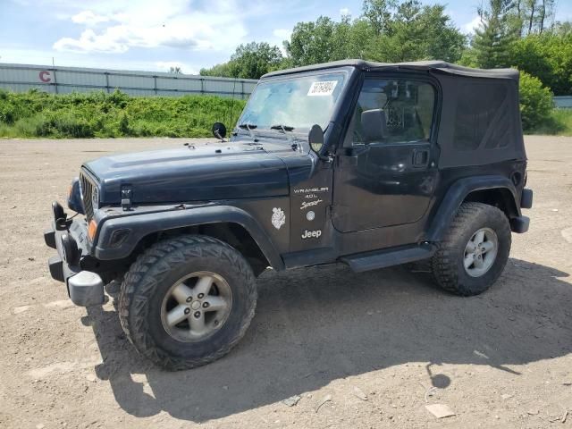 2001 Jeep Wrangler / TJ Sport