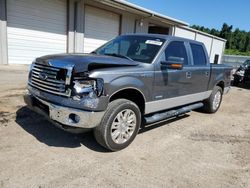 Ford salvage cars for sale: 2012 Ford F150 Supercrew