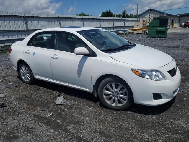 2010 Toyota Corolla Base