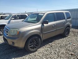 Honda Pilot salvage cars for sale: 2009 Honda Pilot LX