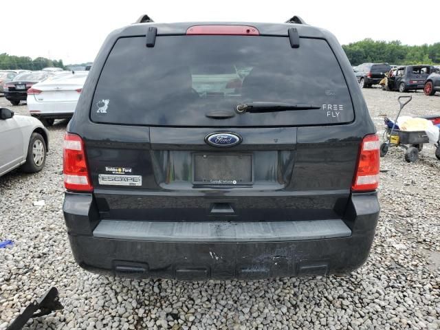 2011 Ford Escape XLT