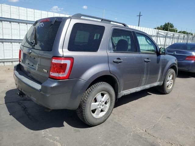 2010 Ford Escape XLT