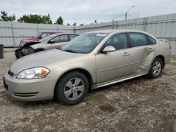 Chevrolet Vehiculos salvage en venta: 2009 Chevrolet Impala LS