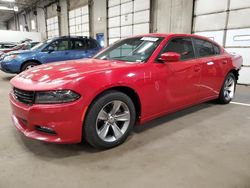 2016 Dodge Charger SXT for sale in Blaine, MN