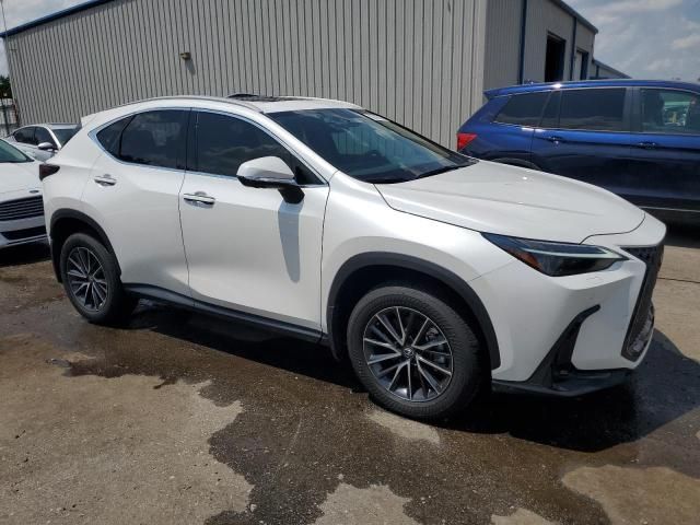 2024 Lexus NX 350 Luxury