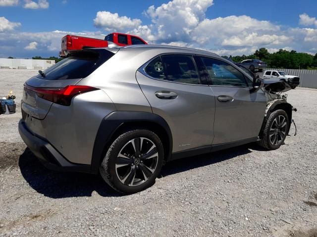 2019 Lexus UX 250H