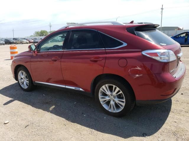 2010 Lexus RX 450