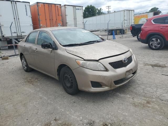 2009 Toyota Corolla Base