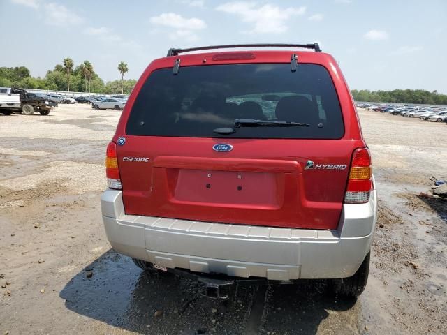 2006 Ford Escape HEV