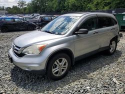 Honda salvage cars for sale: 2010 Honda CR-V EX