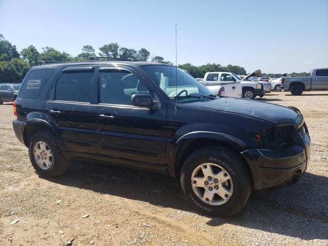 2006 Ford Escape Limited