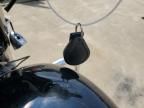 2020 Harley-Davidson Flhx