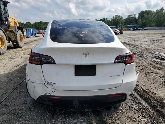 2020 Tesla Model Y