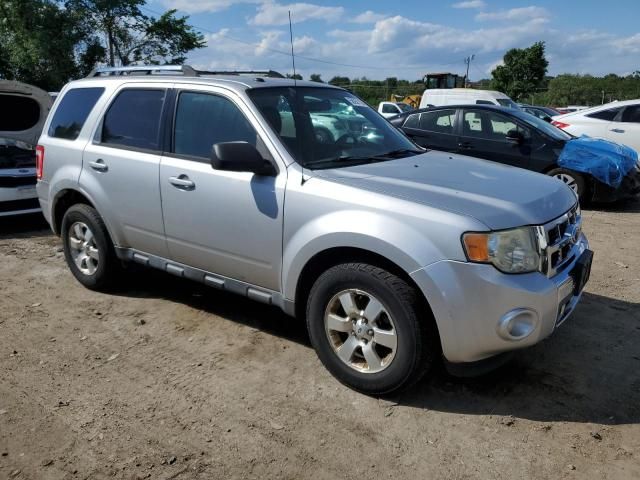 2010 Ford Escape Limited