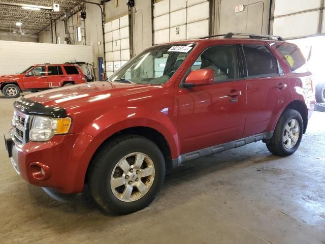 2010 Ford Escape Limited