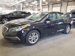 2015 Hyundai Sonata SE for sale in Blaine, MN