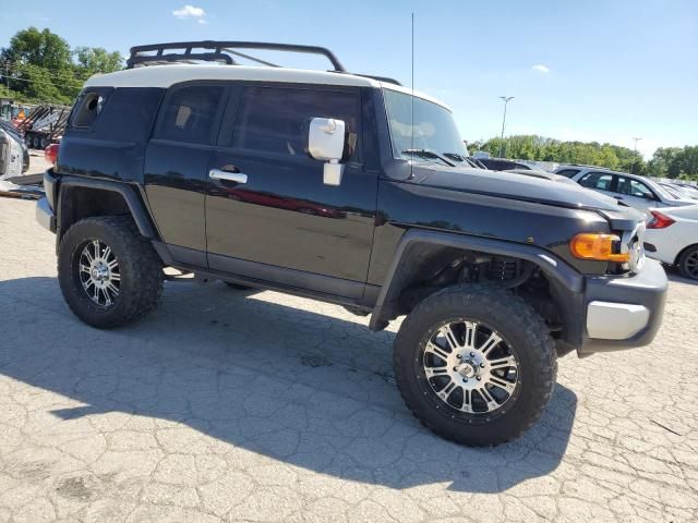 2010 Toyota FJ Cruiser