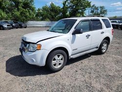 2008 Ford Escape XLT for sale in Hillsborough, NJ