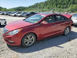 Hyundai Vehiculos salvage en venta: 2011 Hyundai Sonata SE