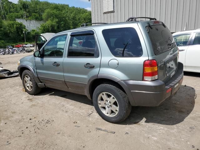 2005 Ford Escape XLT