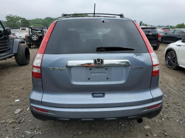 2010 Honda CR-V EXL