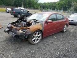 Nissan Maxima se salvage cars for sale: 2006 Nissan Maxima SE