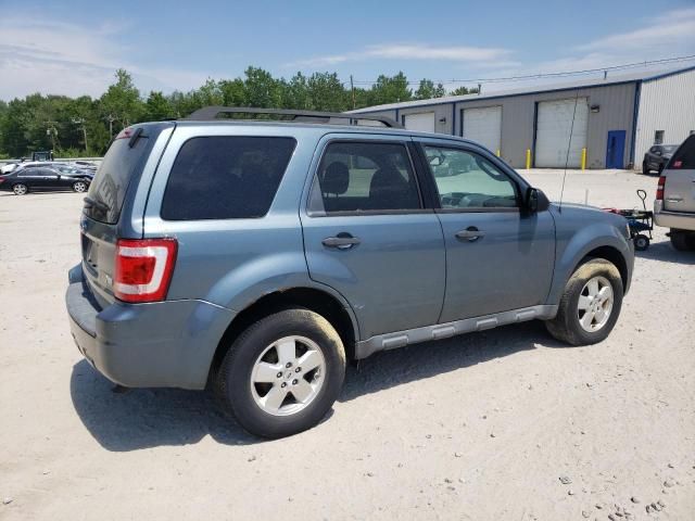 2011 Ford Escape XLT