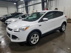 2013 Ford Escape SE for sale in Ham Lake, MN