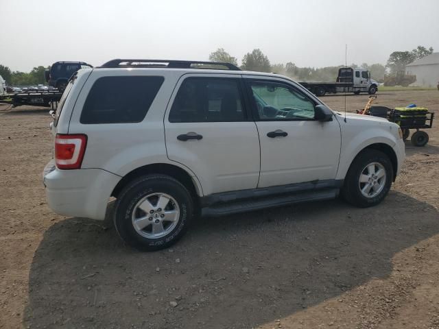2012 Ford Escape XLT
