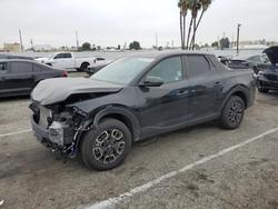 2024 Hyundai Santa Cruz sel for sale in Van Nuys, CA