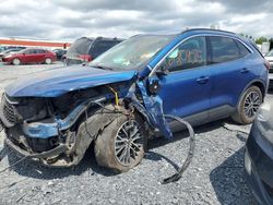 2023 Ford Escape en venta en Montreal Est, QC