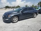 2019 Chevrolet Malibu LS