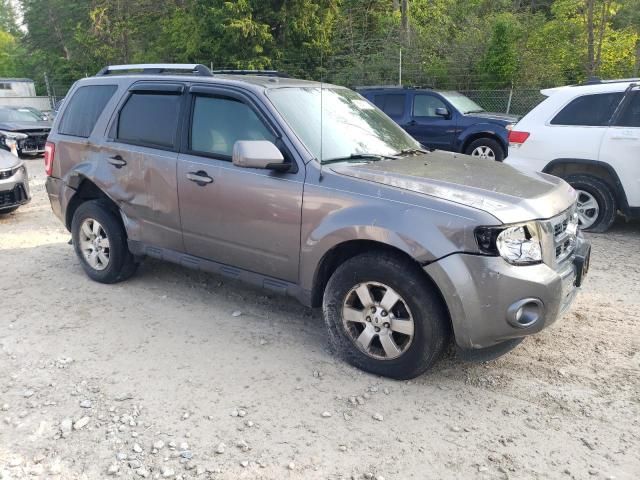 2010 Ford Escape Limited