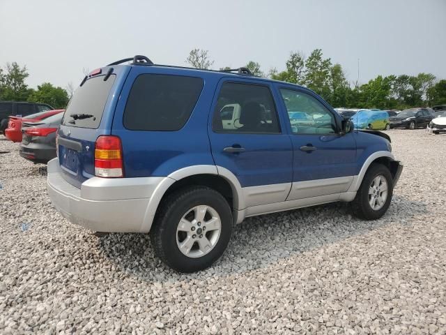 2007 Ford Escape XLT