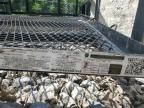 2000 Carry-On 2024 CARRY-ON 5X8G-GEN Utility Trailer