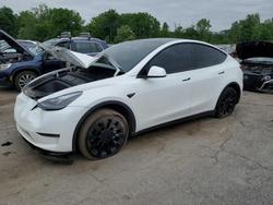 2024 Tesla Model y for sale in Marlboro, NY