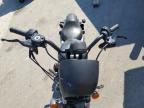 2019 Harley-Davidson XL883 N