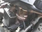 2024 Honda GL1800 D