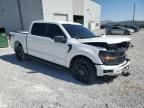2025 Ford F150 XLT